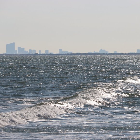 Meet your Posher, Cherice - Picture 10 of 10